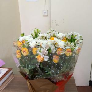 Yellow roses