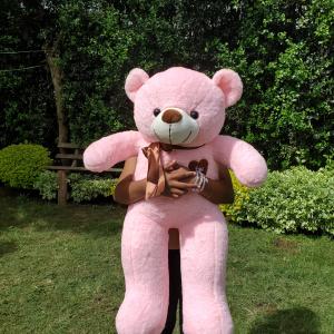 Teddy bear
