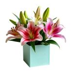 Oriental Lily Flower box