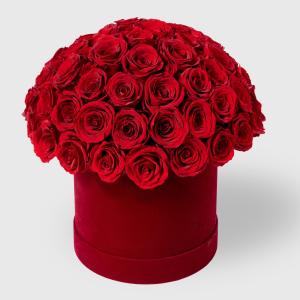 Red Rose Romance Box