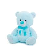 Blue Teddy Bear